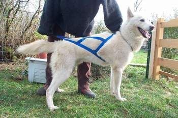 Publication : Of athabaskan's bogeyman 