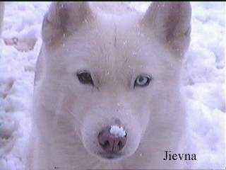 Publication : Of athabaskan's bogeyman 