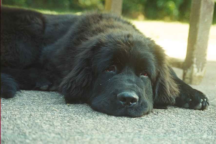 Publication : Les Mers D'Arrakis 