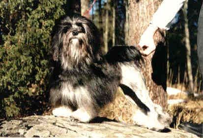 Publication : Wanted 