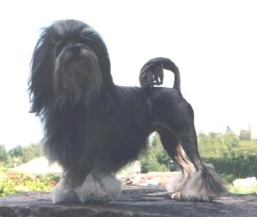 Publication : Wanted 