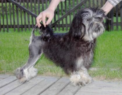 Publication : Wanted 