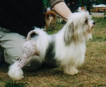 Publication : Wanted 