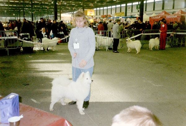 Publication : du domaine de la Chaussonerie 