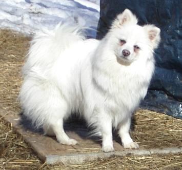 Publication : Du ray de mussy 