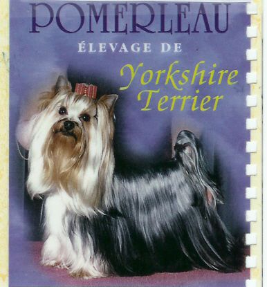 CH. Devil toupee De pomerleau