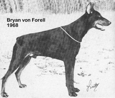 CH. Bryan Von forell