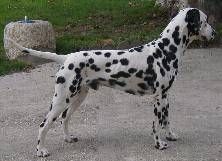 Publication : du clos de la vallée bleue 