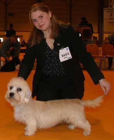 Publication : D'Apricancy 