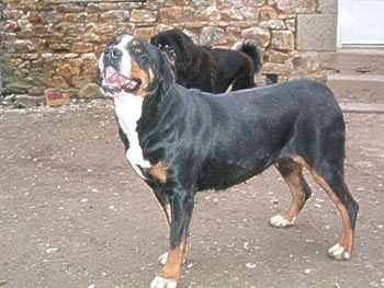 Publication : De la chapelle au grain 