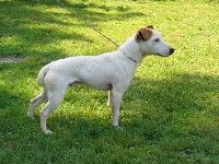 Publication : du Val D'Ambronne 