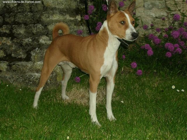 Publication : des Neiges D'Afrique 