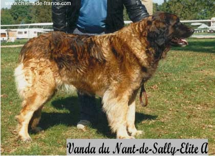 CH. Vanda Du nant-de sally