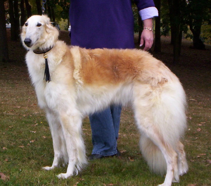 Publication : Du domaine des perles rares Auteur : Christine Challier