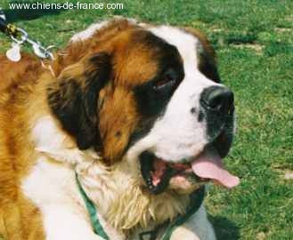 Publication : La Vieja Montañesa 