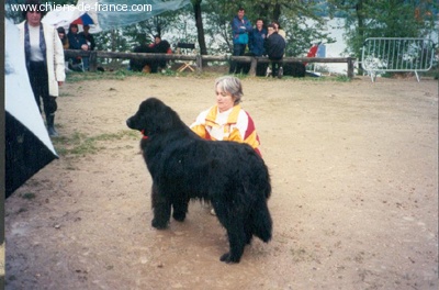 Flower De la baie bonavista