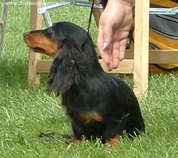 Valhala itou de la cour d'amon