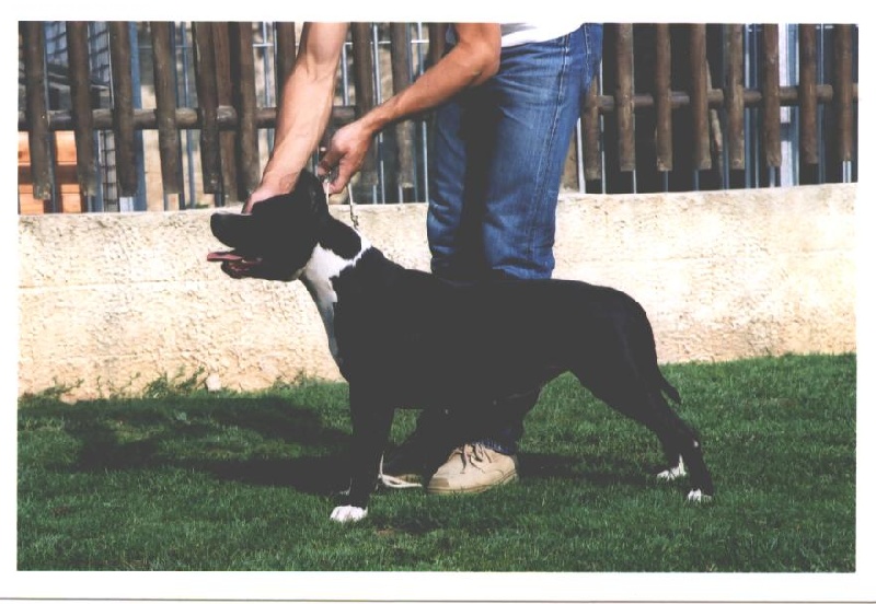 Frenchly love (Sans Affixe)