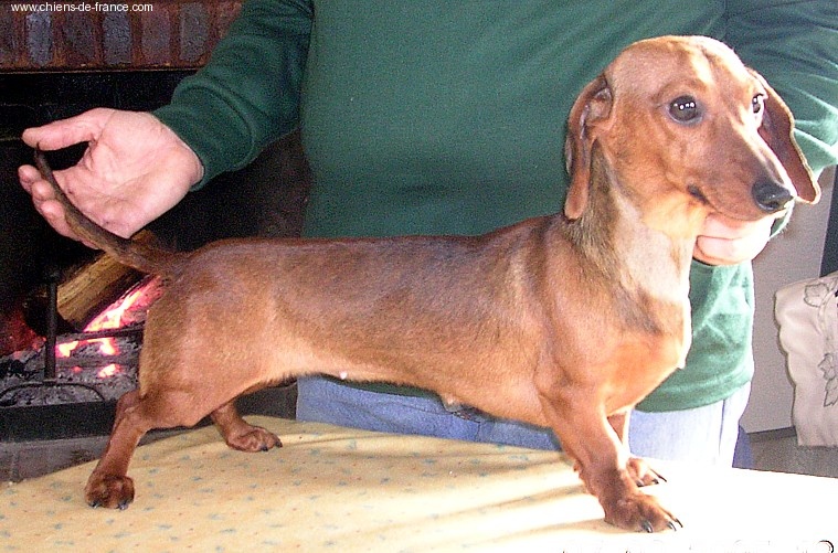 Publication : du domaine de parbeau 