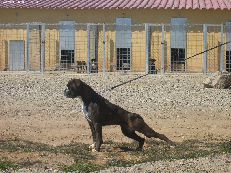 U'lympe De la petite bicounosse