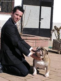 Étalon Bulldog Anglais - Budas de oro Daria