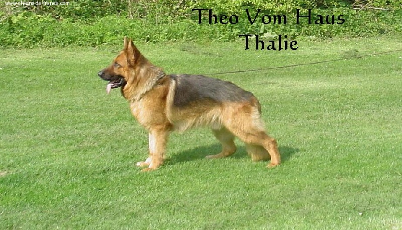 Theo Vom haus thalie