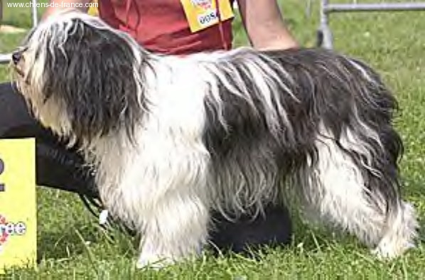 Publication : Du clan mikero 