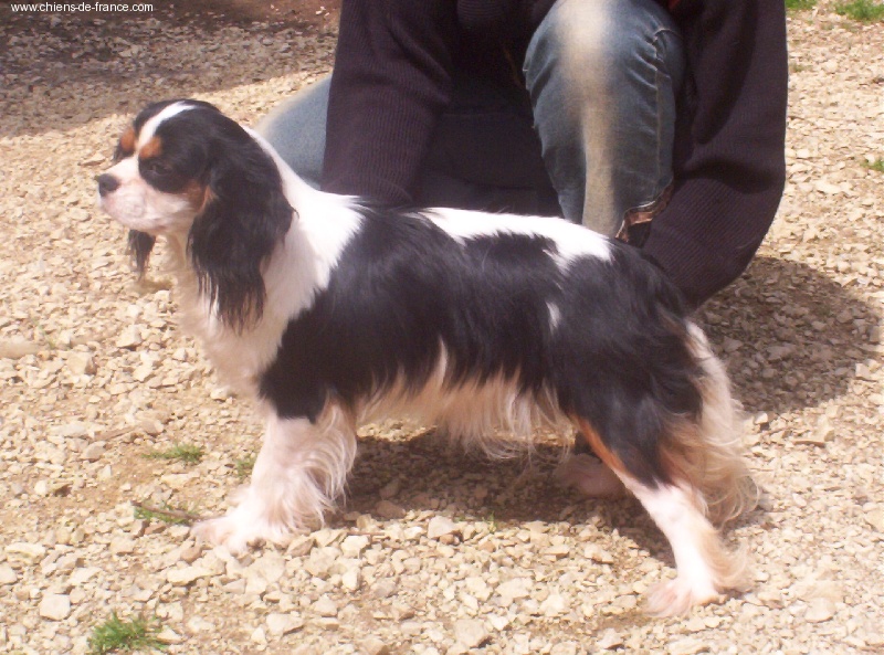 Publication : du clan des gladiateurs 