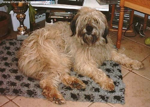 Publication : de la Gosserie du Marais Auteur : Flo CADORET