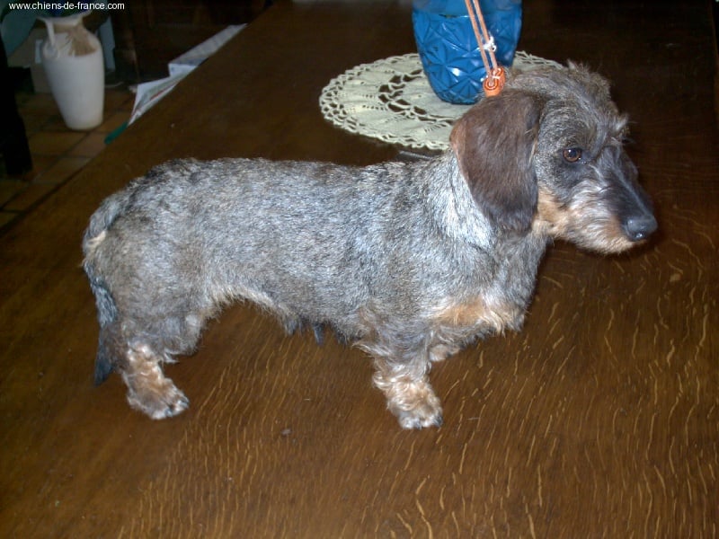 Publication : de la goutte du Chaity 