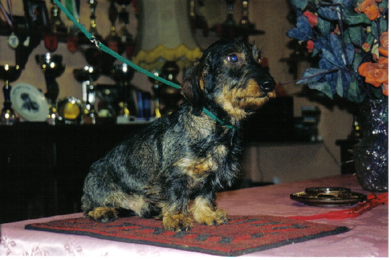 Obert De la logniere