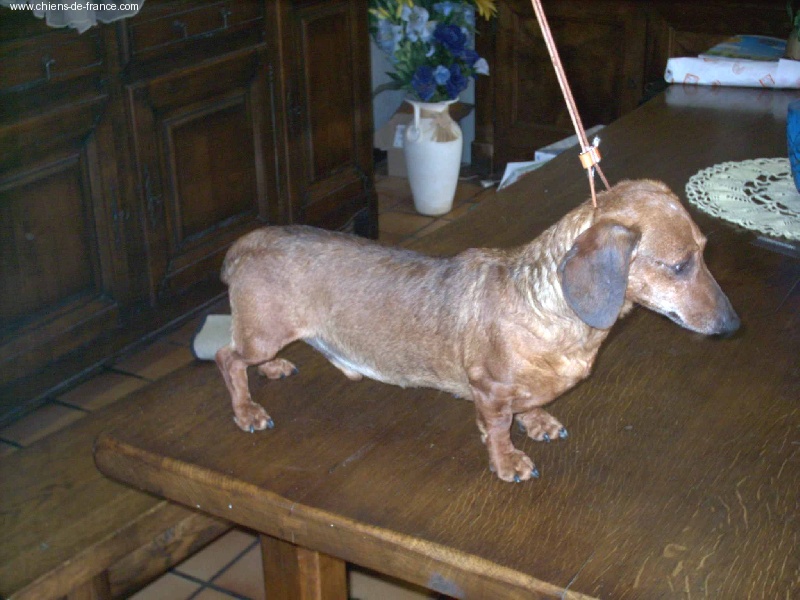 Publication : de la goutte du Chaity 