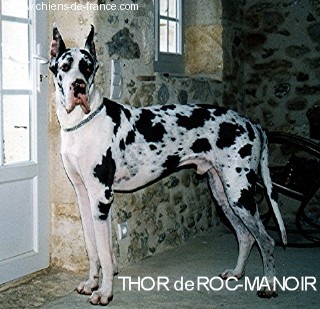 Thor De roc-manoir