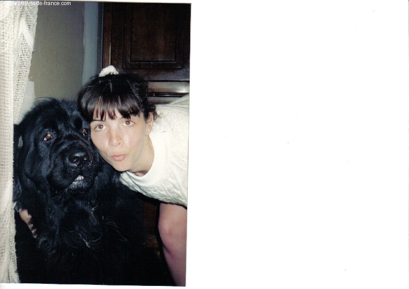 Epona belle De la baie bonavista