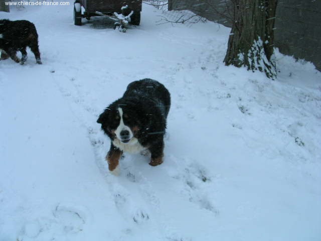 Publication : (Sans Affixe) 