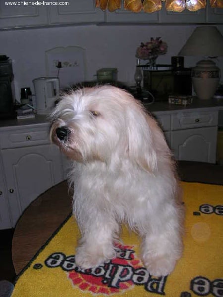 Publication : (Sans Affixe) 