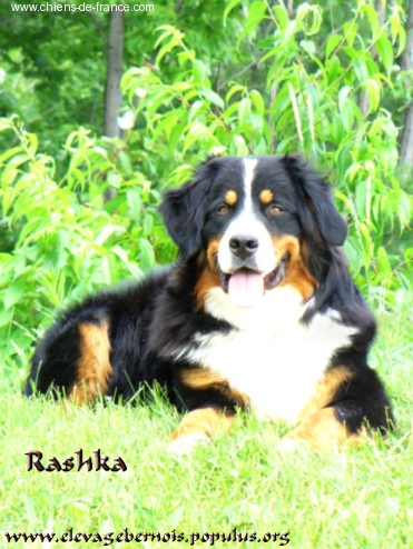 Publication : de la Pointe-du-Lac 