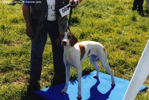 Publication : Des portes d'aquitaine