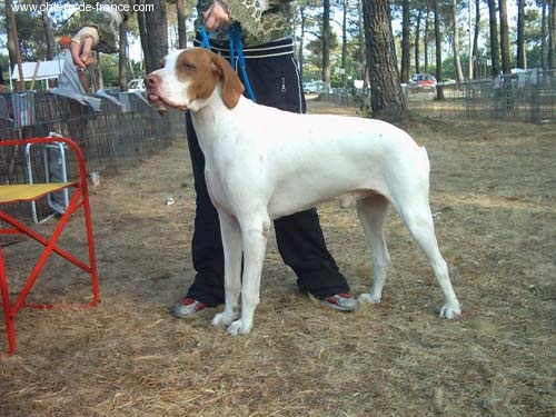 Publication : Des portes d'aquitaine 