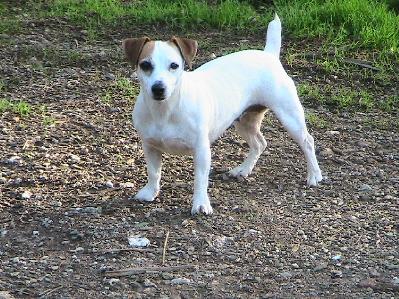 Slyde Des p'tits chupa chups