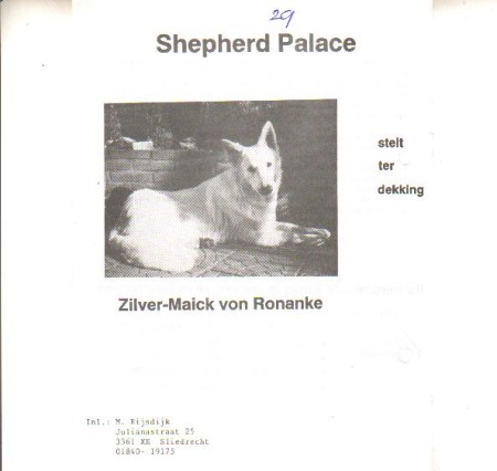 Zilver maick Von ronanke