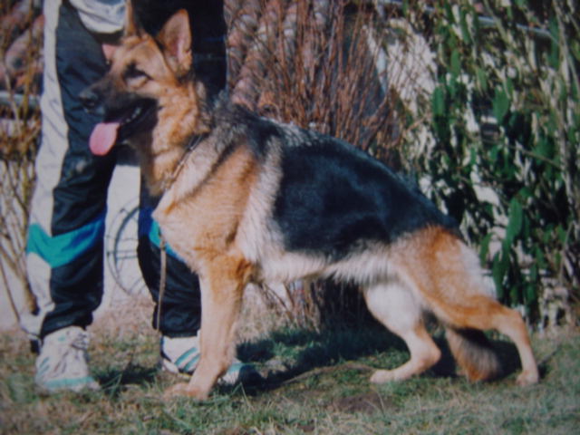 Romy de la p'tite Flore