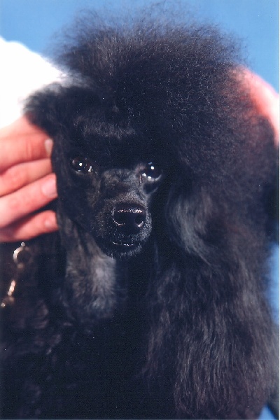 Publication : de Chamberande