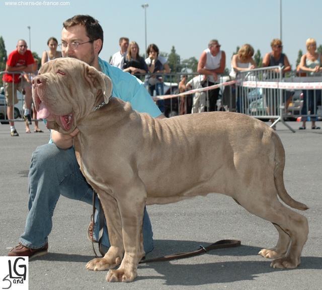 Publication : Des bacchantes de dionysos