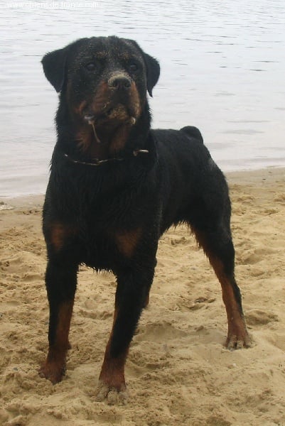 Publication : des déesses éternelles