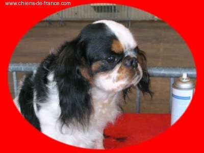 Publication : (Sans Affixe) 