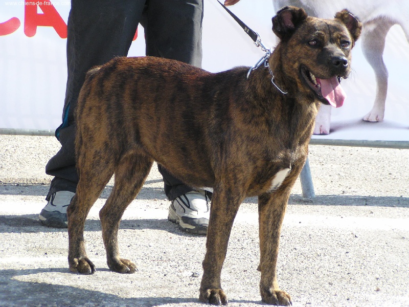 Publication : Du clos de marancoise 