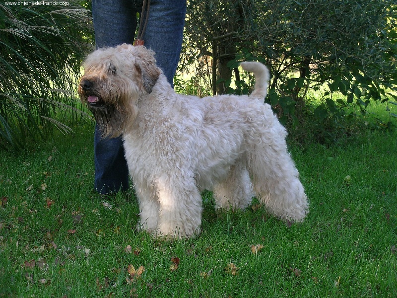 Publication : Brookdene 