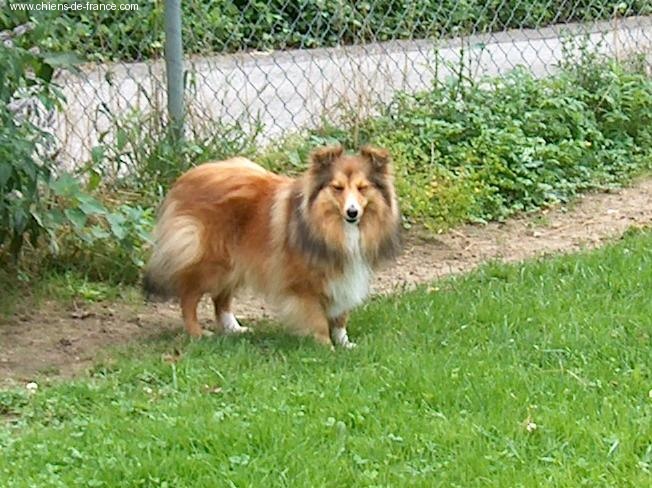 Publication : Lazy river of jurassic valley