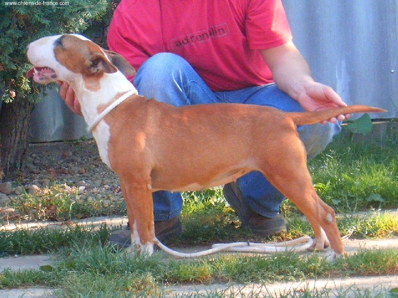 Aida From turned and filled